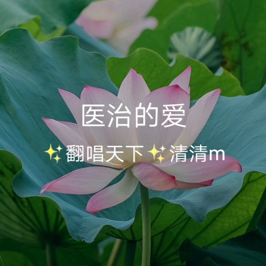 醫治的愛