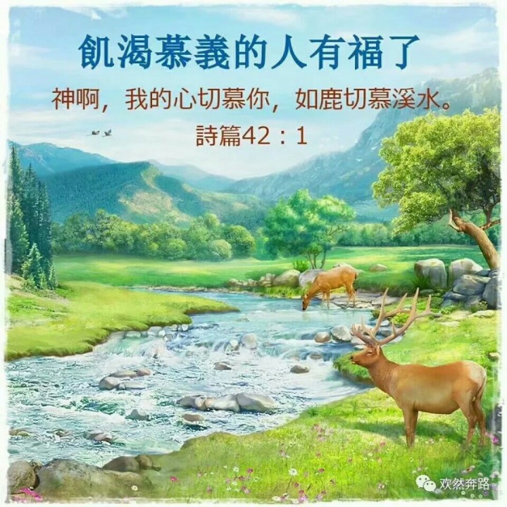 颂读圣经专用