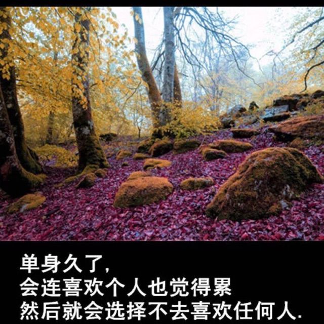 祈祷- 再见过往,梦一场 唱吧,玩音乐,就上唱吧!