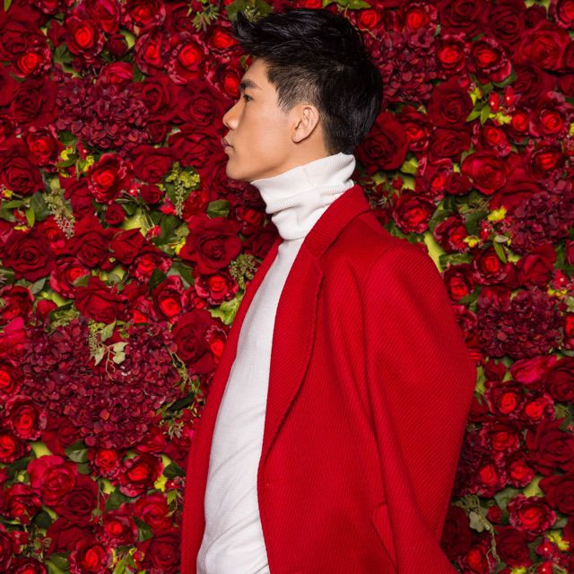 我是不是你最疼爱的人【小佩妹子制作】 - 辛大个儿 唱吧,听见歌声