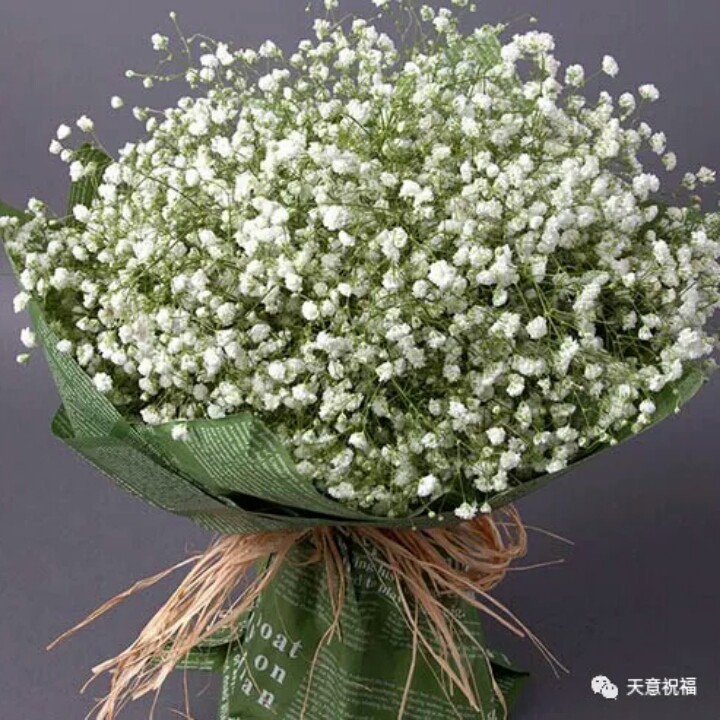 电话情思