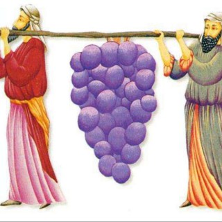 2971苏映水7129 夜的钢琴曲 - 福乐人生98