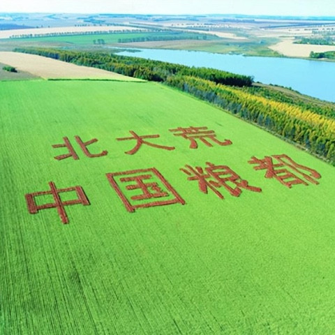 京歌 北大荒人的歌
