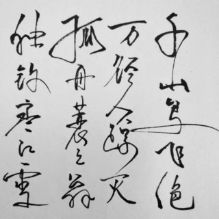 忘情水【群主版】