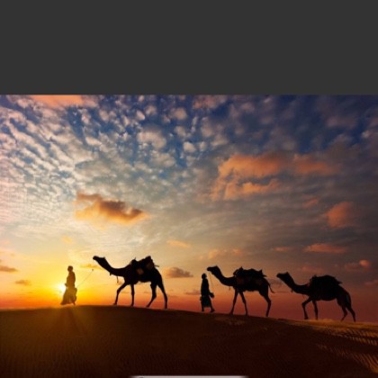 沙漠骆驼跑调女版图片