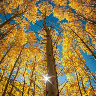 思念无期【rr制作 原版】