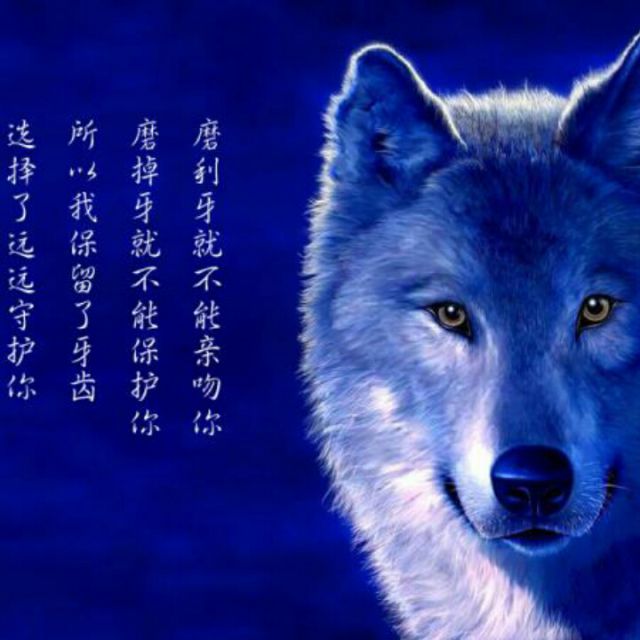做你的爱人 - 紫侠狼群 唱吧,玩音乐,就上唱吧!