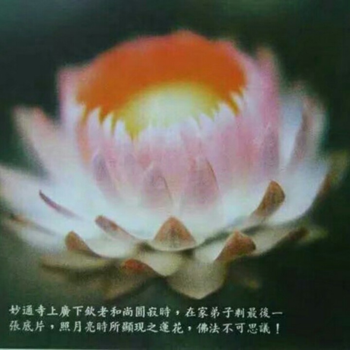 南无阿弥陀佛【佛教歌曲】