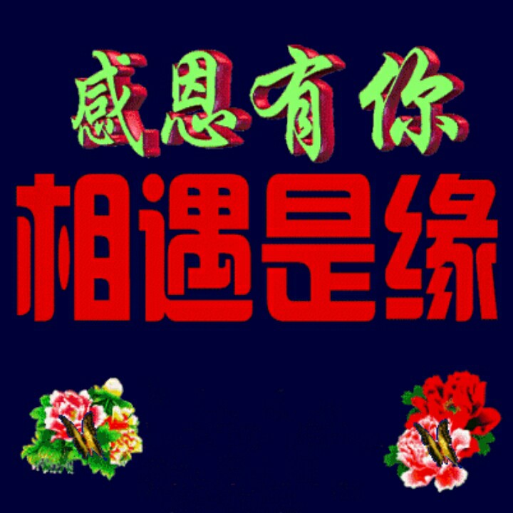 今生只为与你邂逅