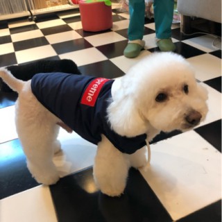 追光者 - 薇薇安就是维维 唱吧,听见歌声遇见你