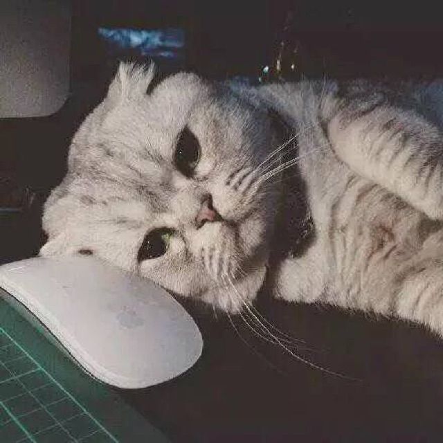 拿走了什么【原版】