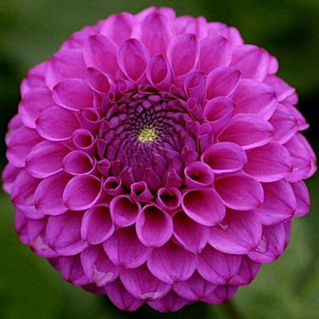 想你的夜晚【忘我制作】