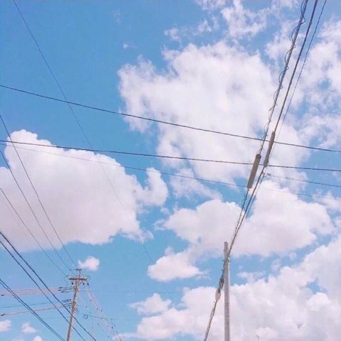 七里香
