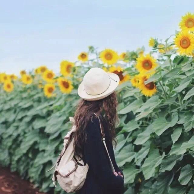 眼泪的错觉【清晰版】