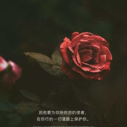 主就是我的安慰【原版伴奏】