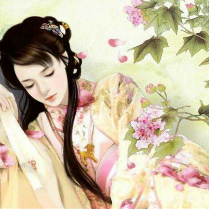 琴师【女版高清】