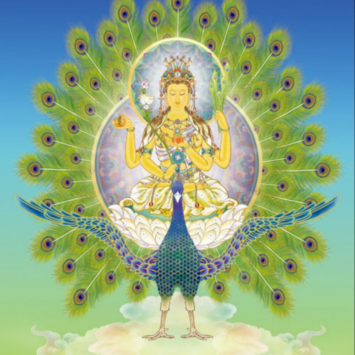 大乘妙法莲华经【提婆达多品第十二】