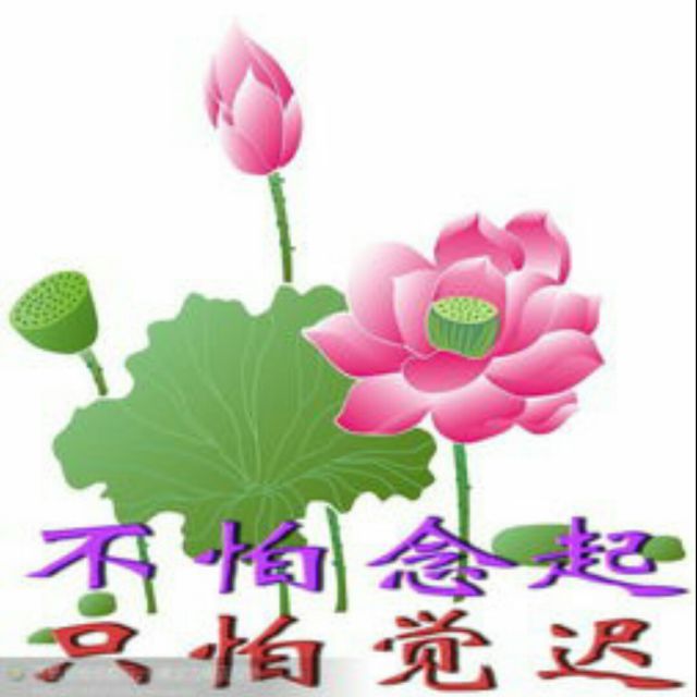 放下难舍的缘