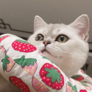 爱笑的眼睛 -liuyichen 山妖 -liuyichen 我是一只鱼 -liuyichen 最佳