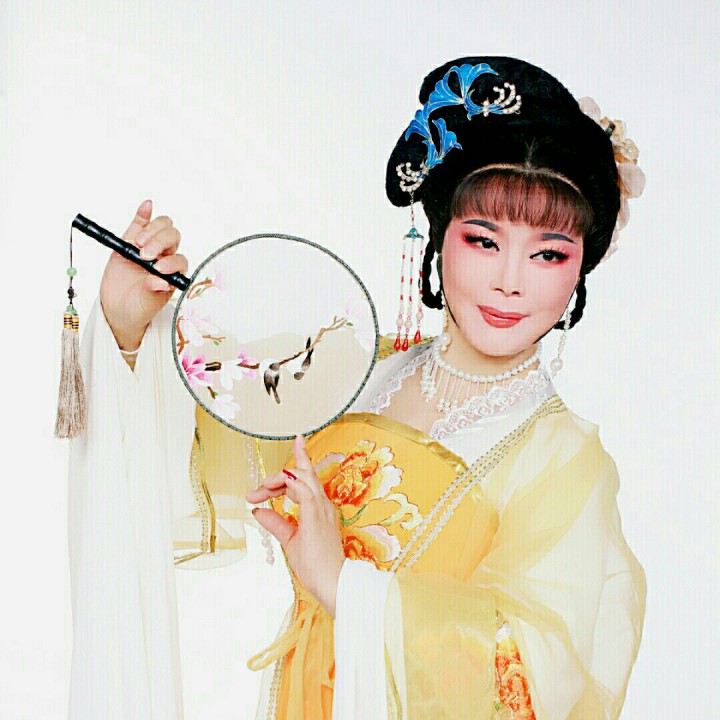 红楼梦 黛玉焚稿王文娟版【越剧】