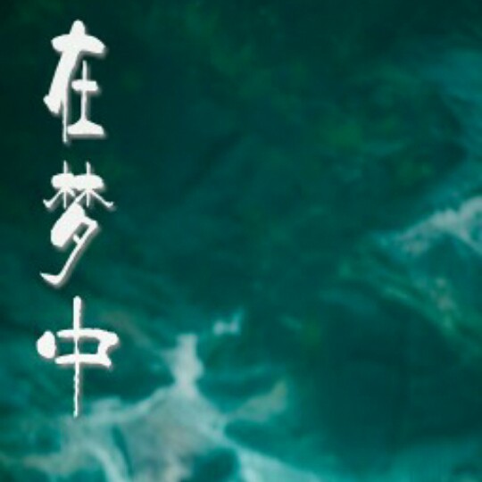 在梦中