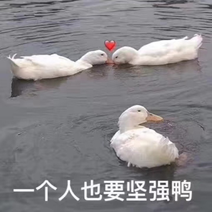 正趣果上果【夏天专属】