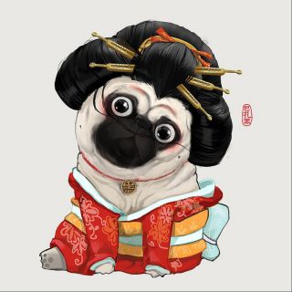 【卷睫盼】春光灿烂猪八戒(钢琴版)