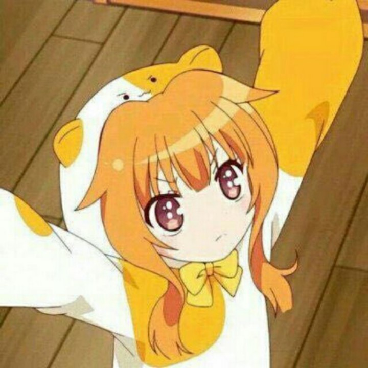 怀里抱猫的女人