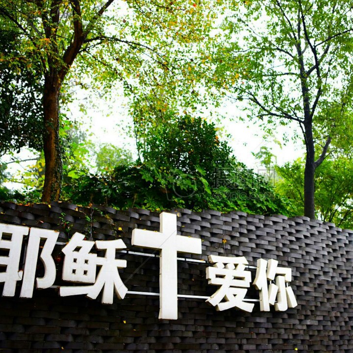 良人唯一的宝贵