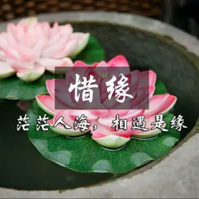 惜缘一生图片图片