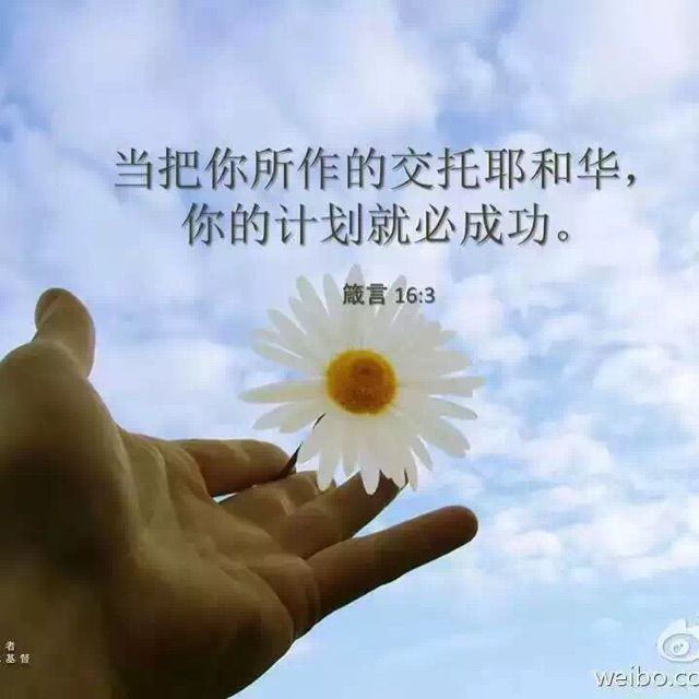 十字架的爱