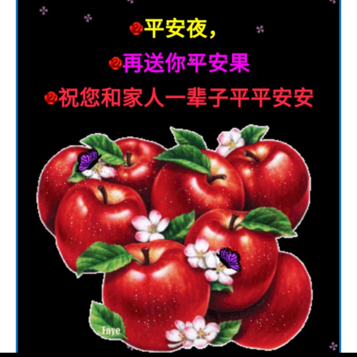 普天同庆主降生原版g调第二段反复