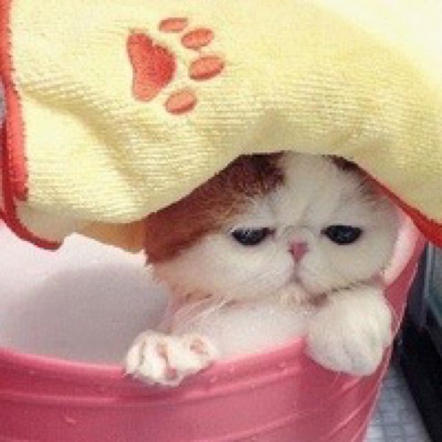 别丢下我不管 - 09喵00 唱吧,玩音乐,就上唱吧!