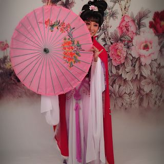 泪尽痛问碑【潮剧】