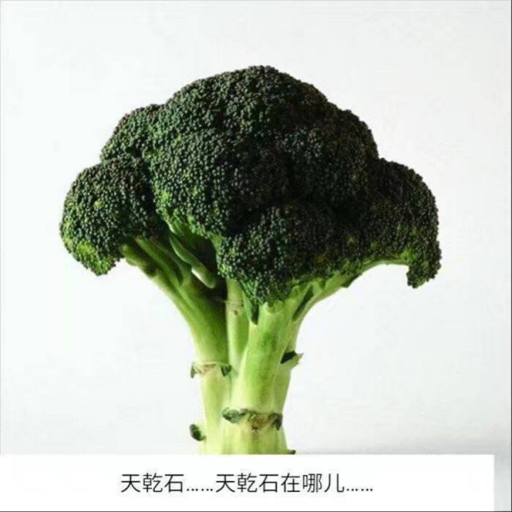 突然想起你