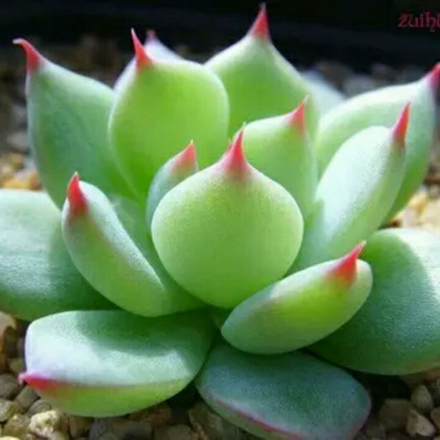 争什么争(ktv伴奏) - 蓝冰姐 唱吧,玩音乐,就上唱吧!