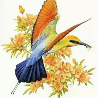 易水寒! 唱吧,玩音乐,就上唱吧!