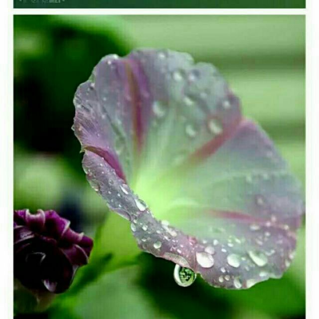 主爱如故【电音劝勉版】