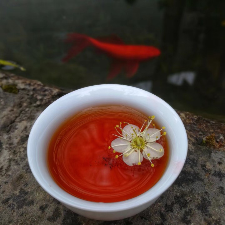 茶酒伴谢春花图片