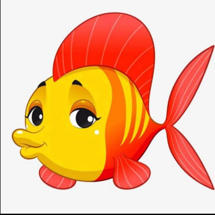 我是一只鱼