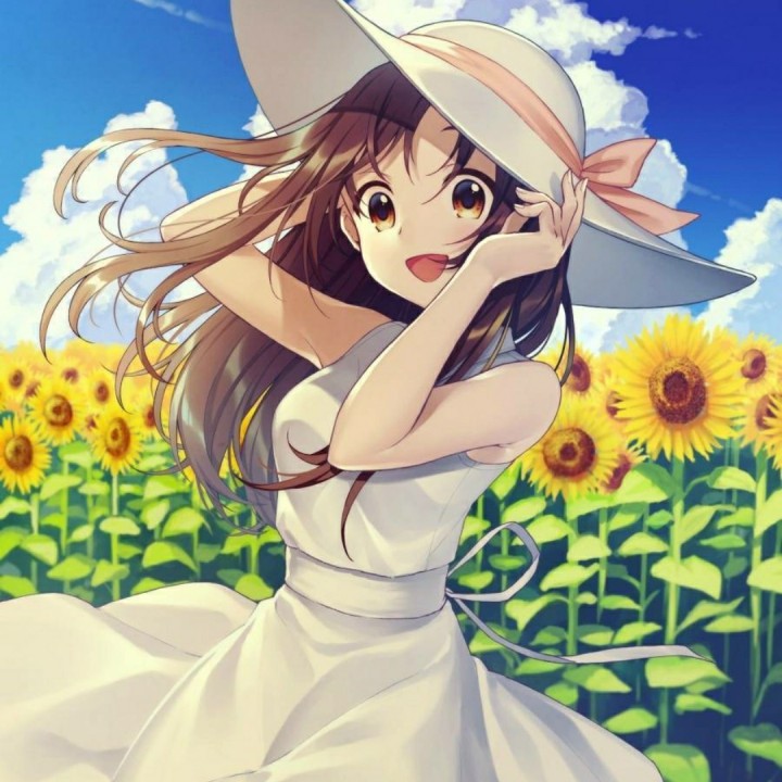 樱花草