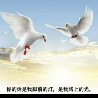 苏映水 夜的钢琴曲