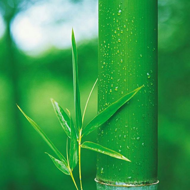 掌声响起来【男声改版 雨工作室】 - 72雨竹 唱吧,玩音乐,就上唱吧!