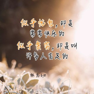 圣经全景【刘道顺牧师著作】