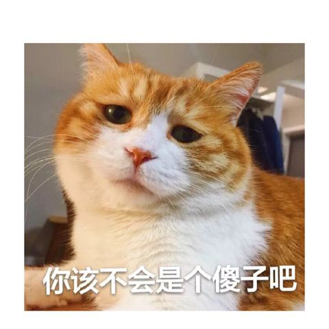 觅香