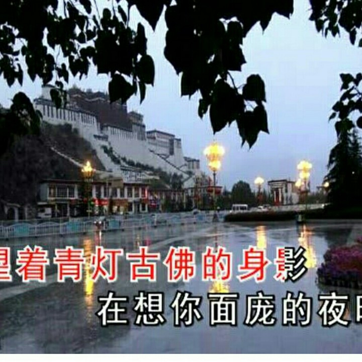 拉萨夜雨图片带字图片