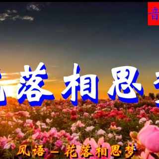 花落相思梦原唱图片