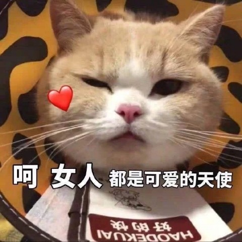 cant help falling in love【消音版】