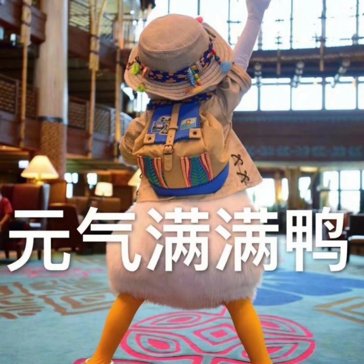 那就这样吧
