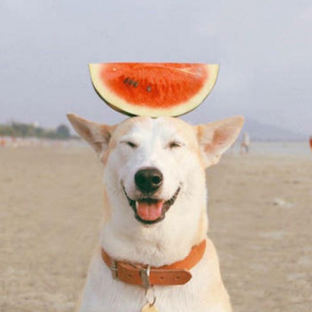 不完美女孩【正常版】